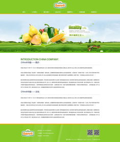 匠心打造品牌线上门户 奔唐网络饮料原料官网设计与开发解析